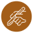 icon-cirugia