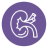 icon-urologia (1)